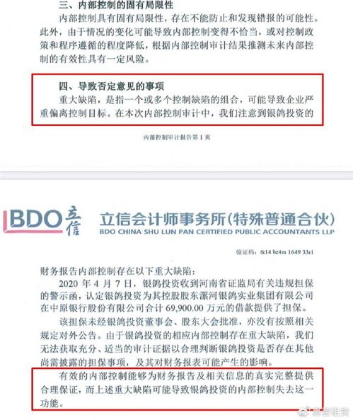 銀鴿投資 審計(jì)報(bào)告懸而未決，監(jiān)管部門該主動(dòng)出擊了
